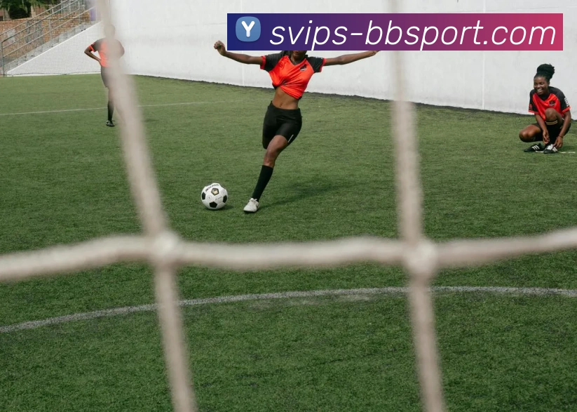 BB电子官网平台生态图